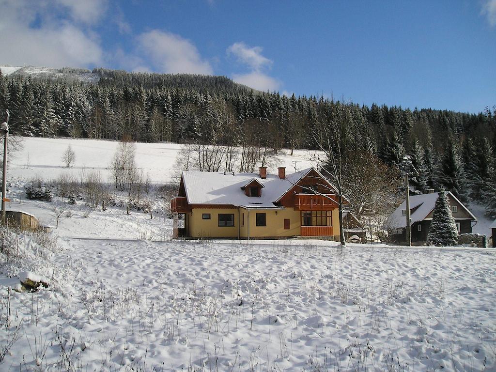 Novakovi